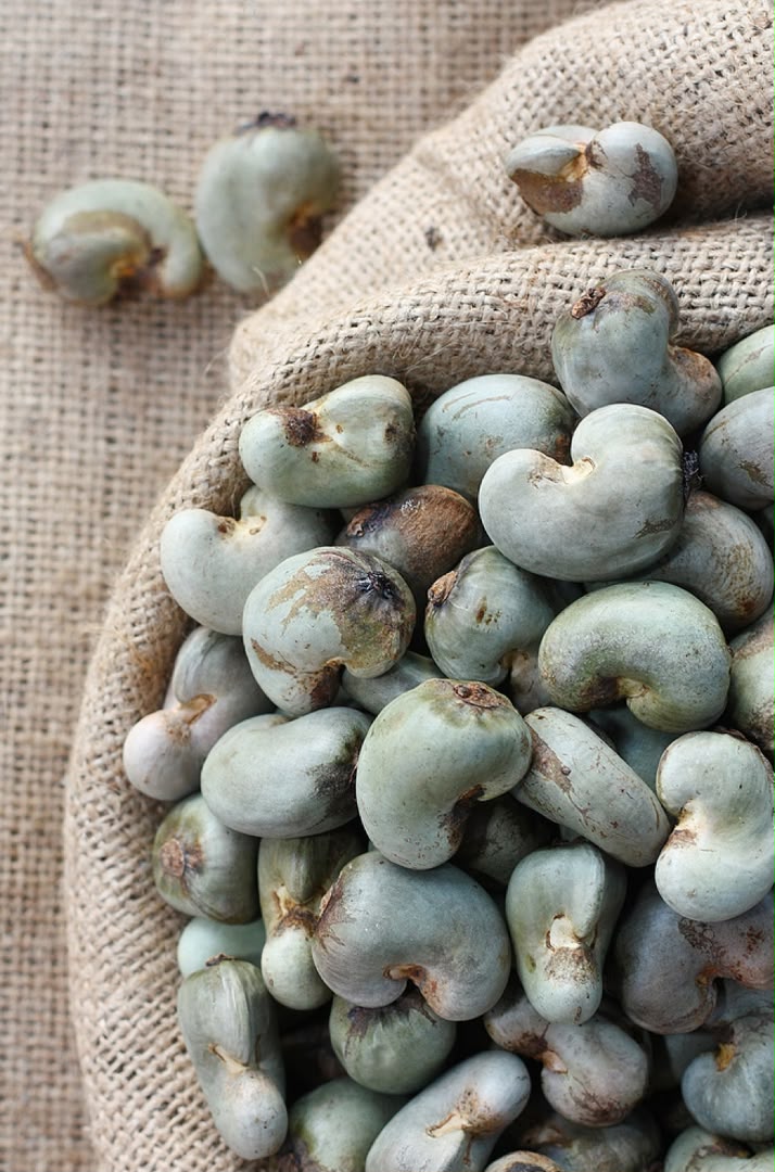 image of cashew nut